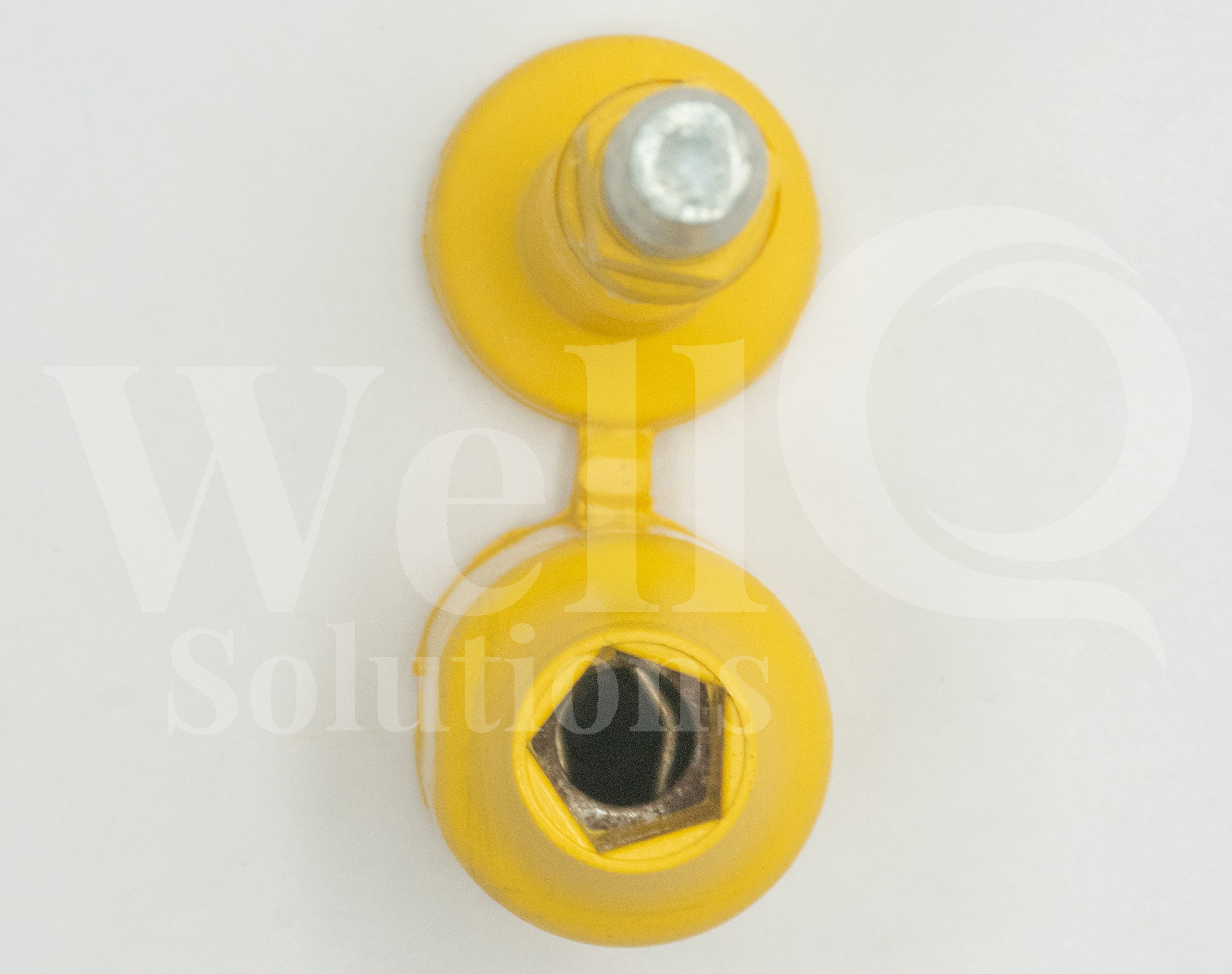 Image of Bolt Seal