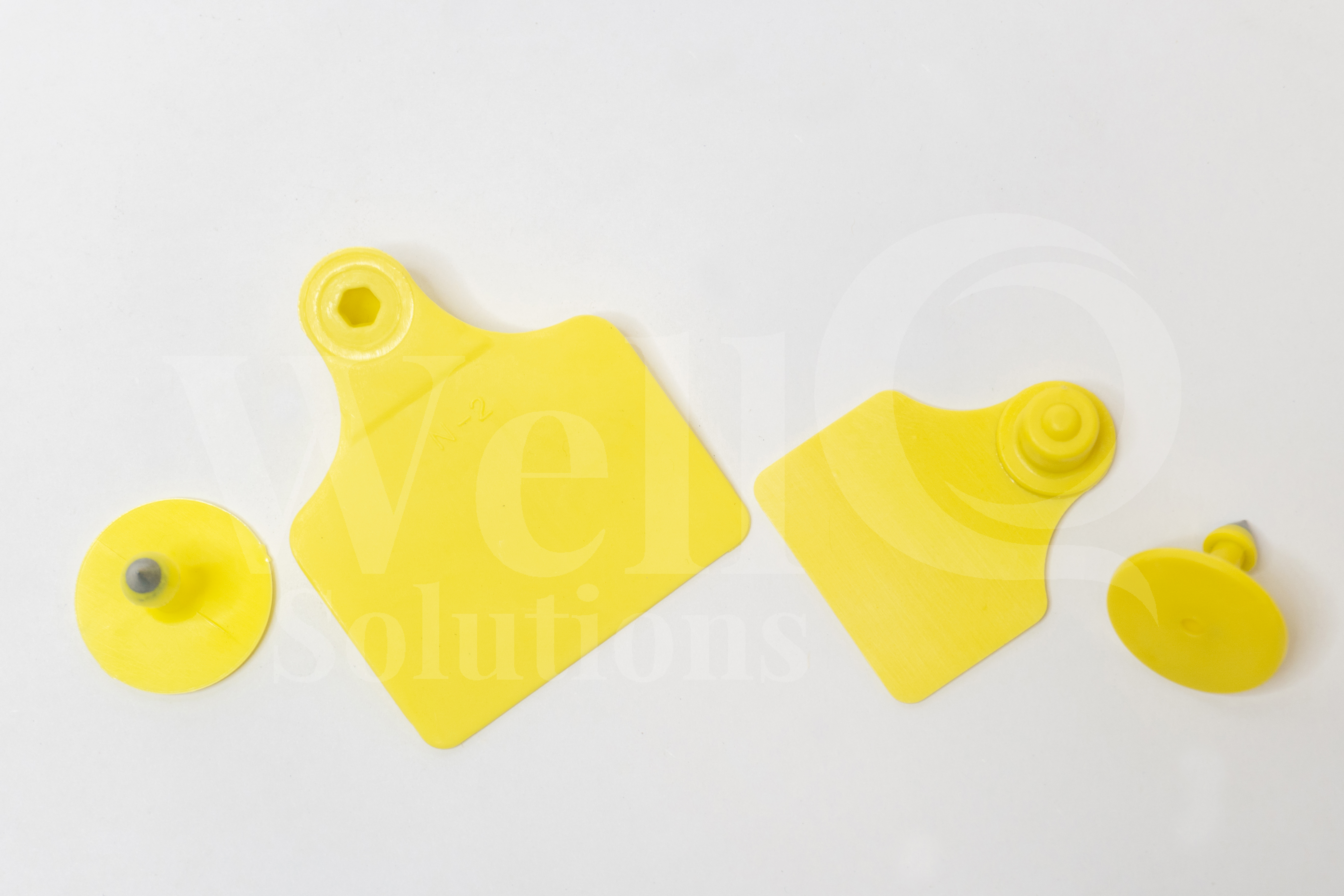 Ear Tags